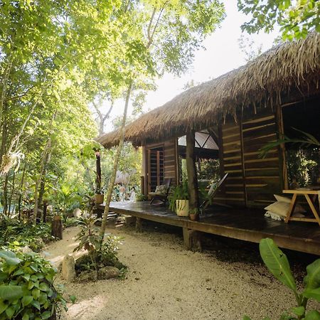 Madre Tierra Eco Habitat Pensionat Puerto Morelos Eksteriør billede
