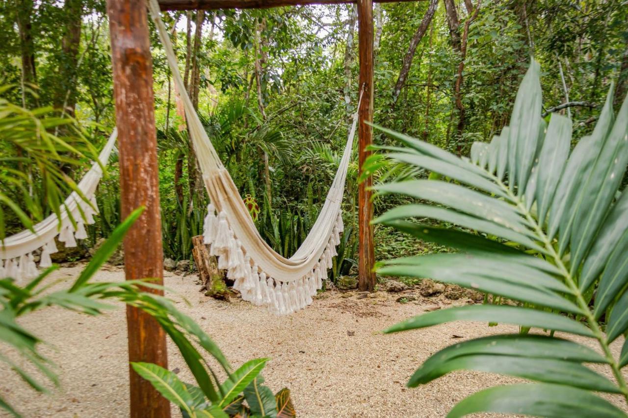Madre Tierra Eco Habitat Pensionat Puerto Morelos Eksteriør billede