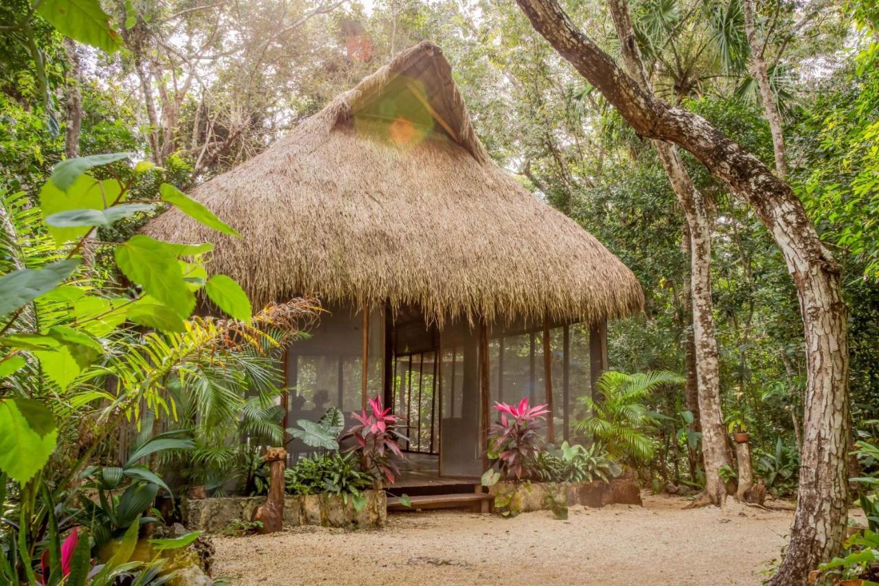 Madre Tierra Eco Habitat Pensionat Puerto Morelos Eksteriør billede