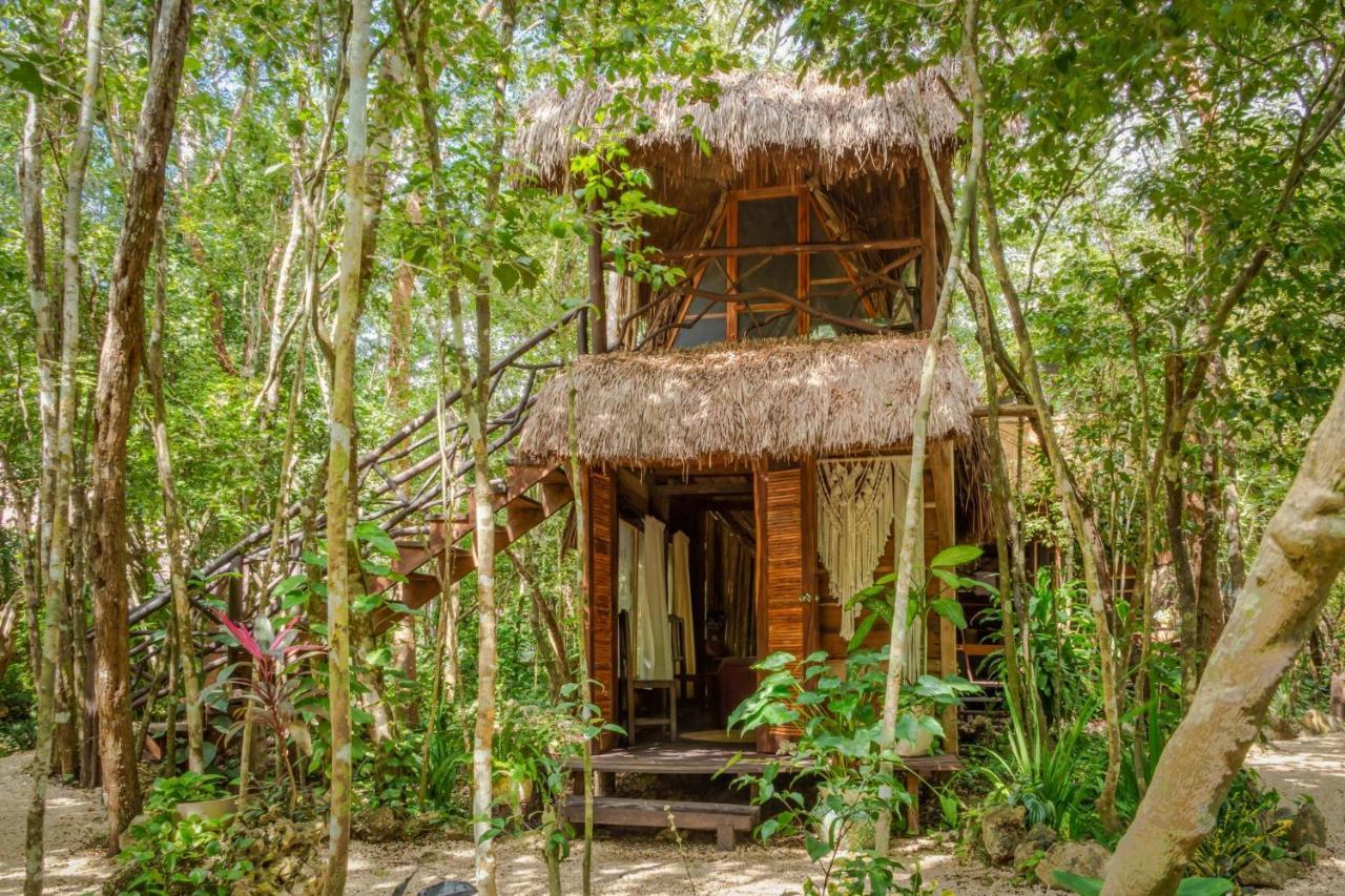 Madre Tierra Eco Habitat Pensionat Puerto Morelos Eksteriør billede