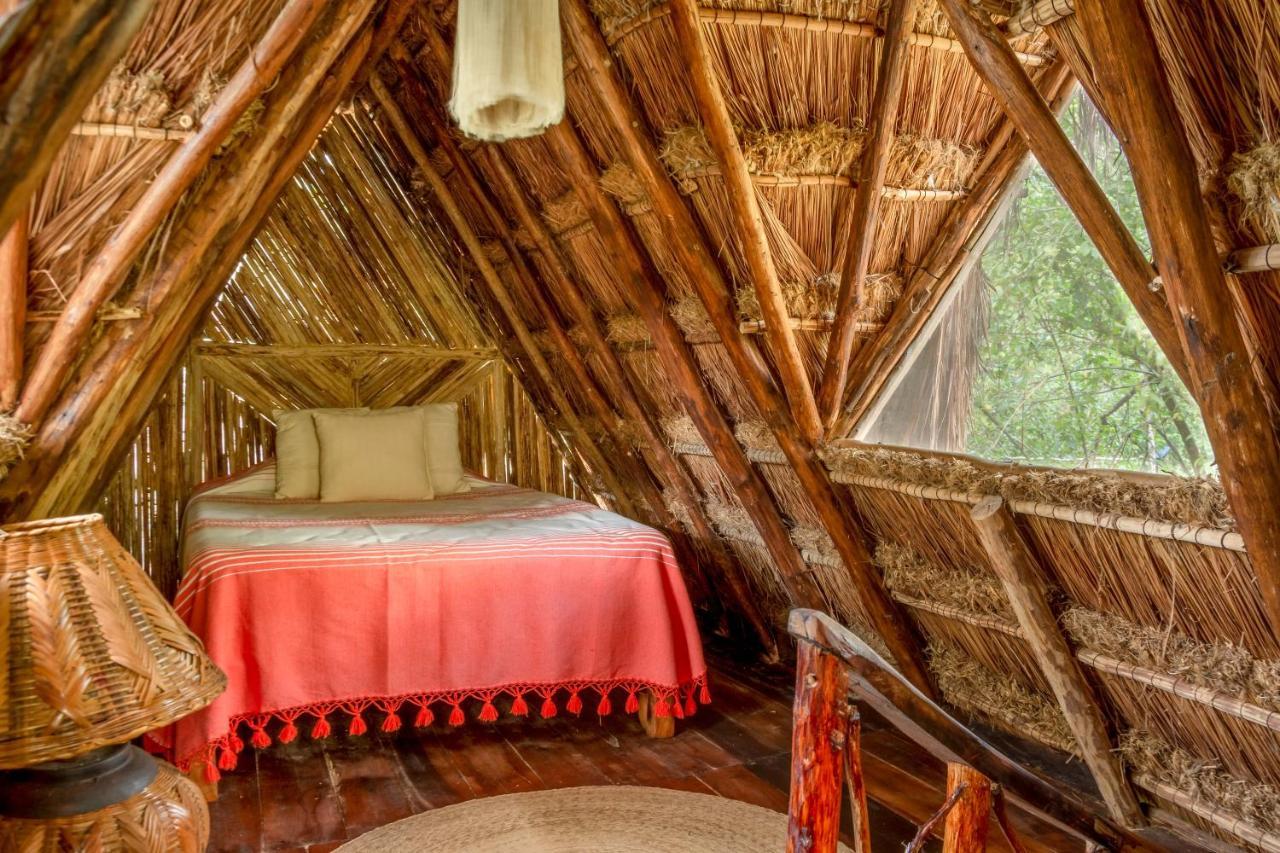 Madre Tierra Eco Habitat Pensionat Puerto Morelos Eksteriør billede