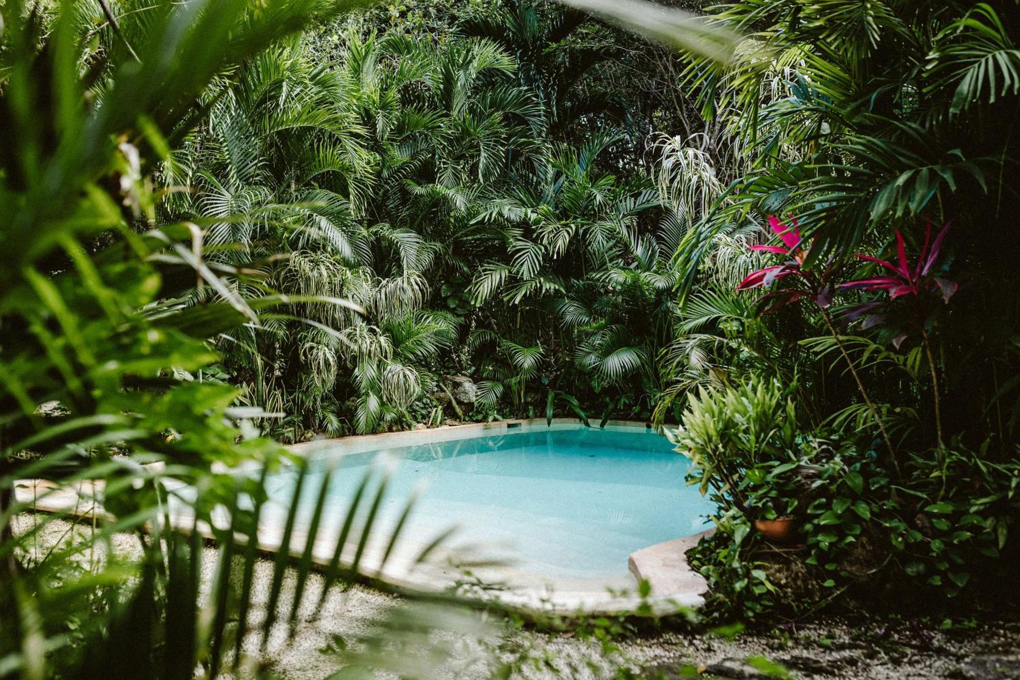 Madre Tierra Eco Habitat Pensionat Puerto Morelos Eksteriør billede
